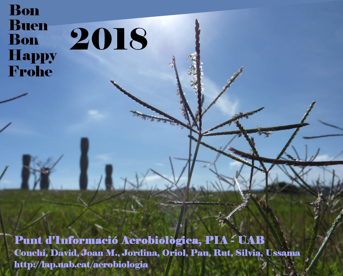 Bon/Buen/Bonne/Happy/Frohe 2018