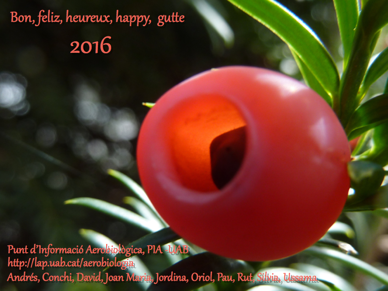 Bon, feliz, heureux, happy, gutte 2016