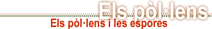 Els p�l�lens i les espores
