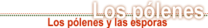 Los pol&eacute;nes y las esporas