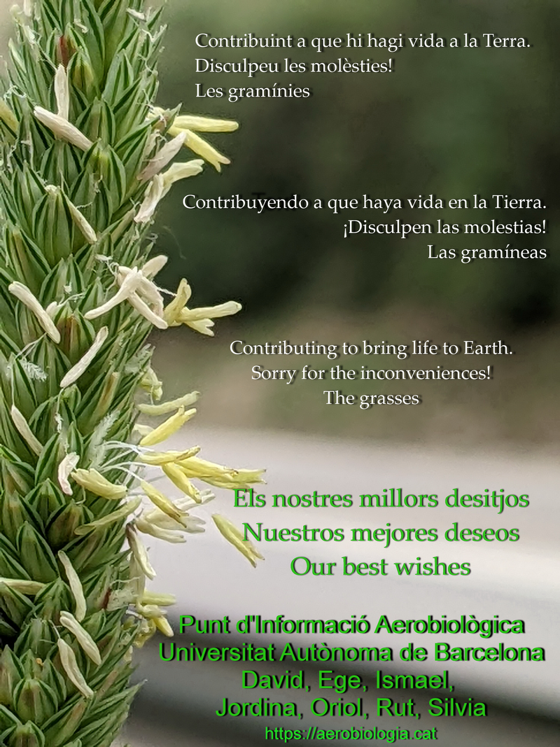 Els nostres millors desitjos
